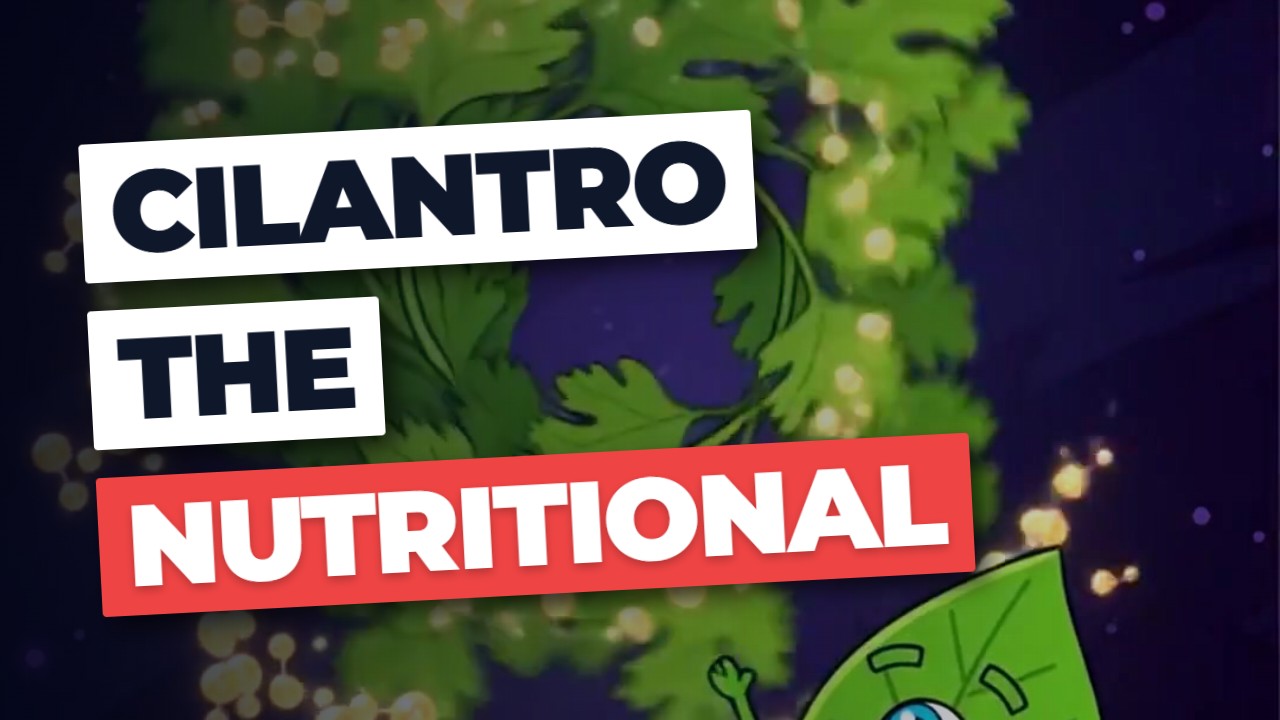 Cilantro: The Nutritional GHOST Your Dietitian HIDES!