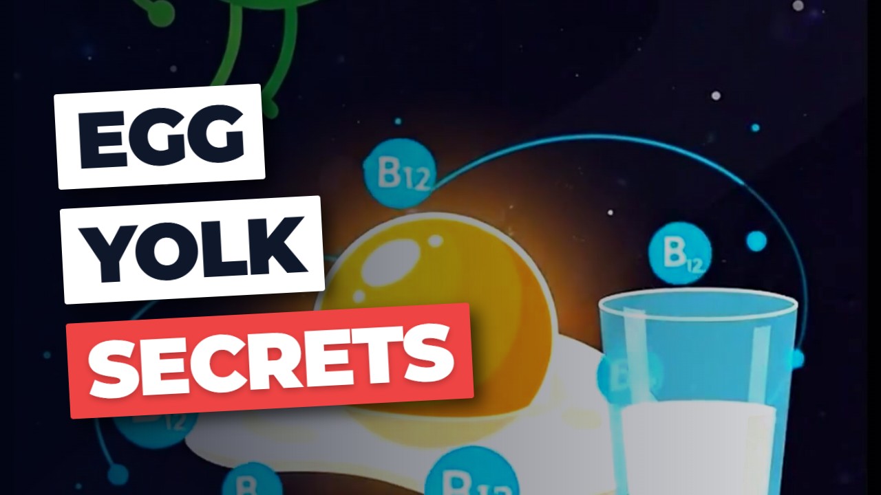 Egg Yolk vs. Milk: The SHOCKING B12 Winner EXPOSED!