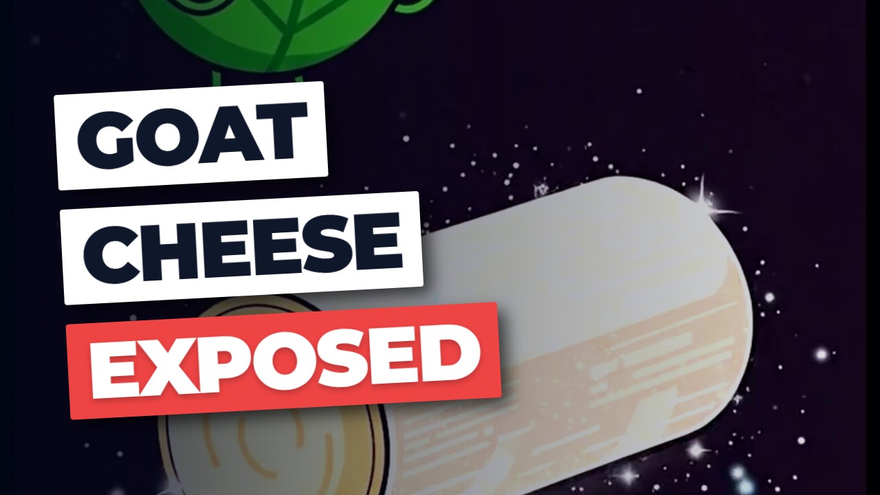 Stop guessing cheese macros! This AI is a HACK