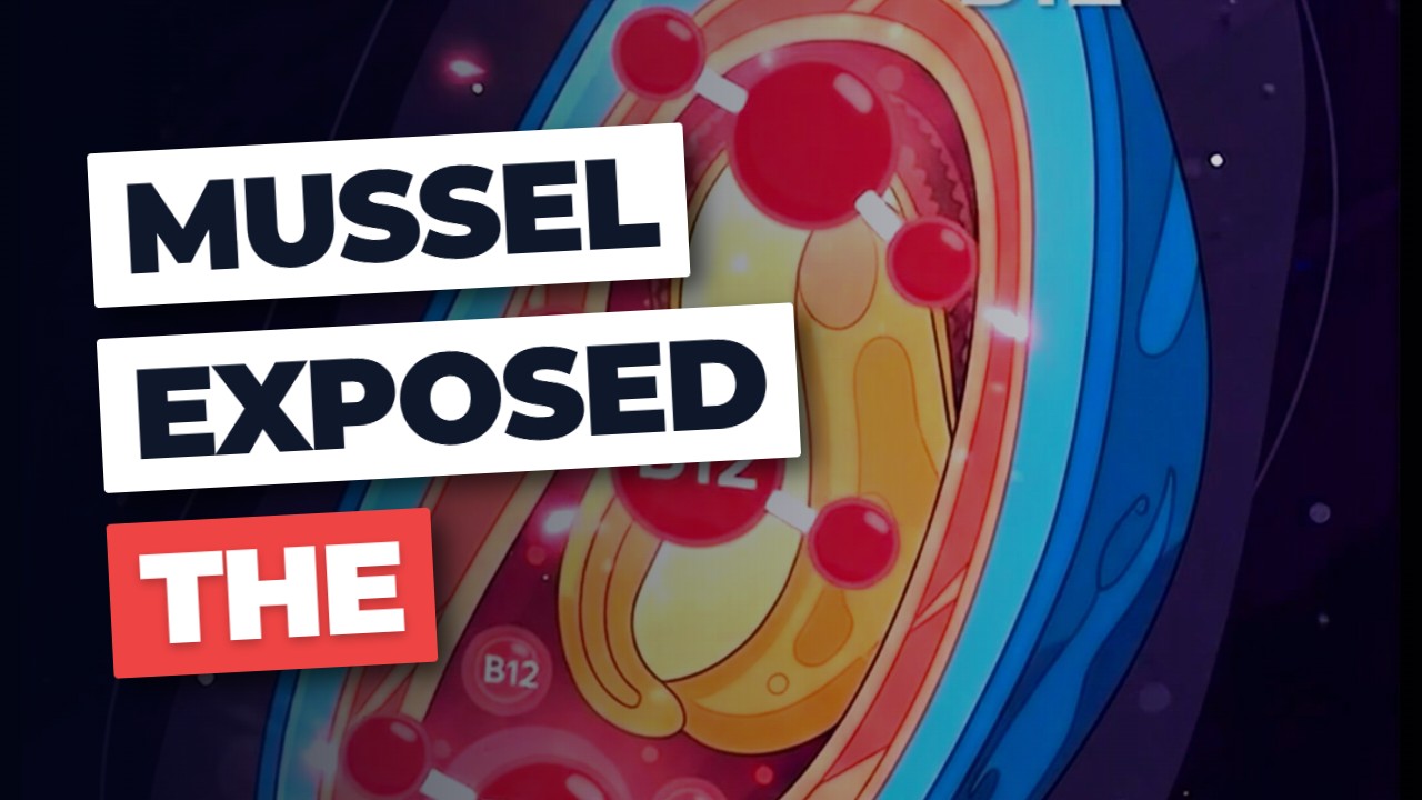Mussel EXPOSED: The Nutrient Truth Your Diet Hates!